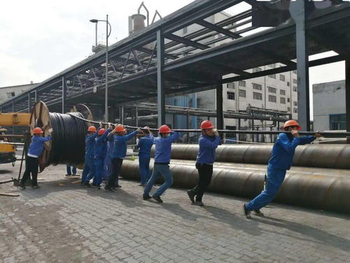 中鹽內蒙古化工公司電石廠組織職工圓滿完成600噸 日石灰窯活性石灰項目電纜敷設任務